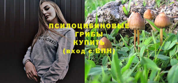apvp Алзамай